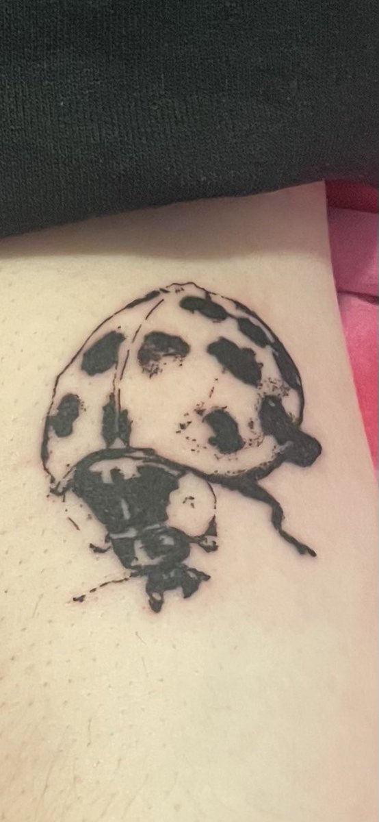 _l_a_n_i's tweet photo. @NoahKahan what do you think of my first tattoo? Wanna name her? https://t.co/CmDRpw9aYA