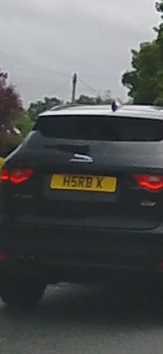 Road User tweet media