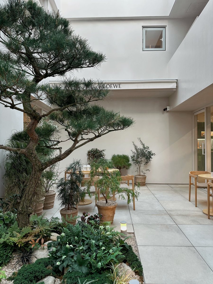 _91mmm's tweet photo. 韓国・ソンスにできたLOEWEのフラッグシップストア2階にある【LOEWE BOTANICAL CAFE】が素敵すぎた🤍🌿無料でロエベフレームのプリ撮れるし、ドリンクも全然高すぎないし、週末の聖水で人溢れかえっててどこのカフェも激混みなのにここだけめちゃくちゃ空いてたから超穴場かも🥺おすすめ！ https://t.co/GIwGlE0hg9