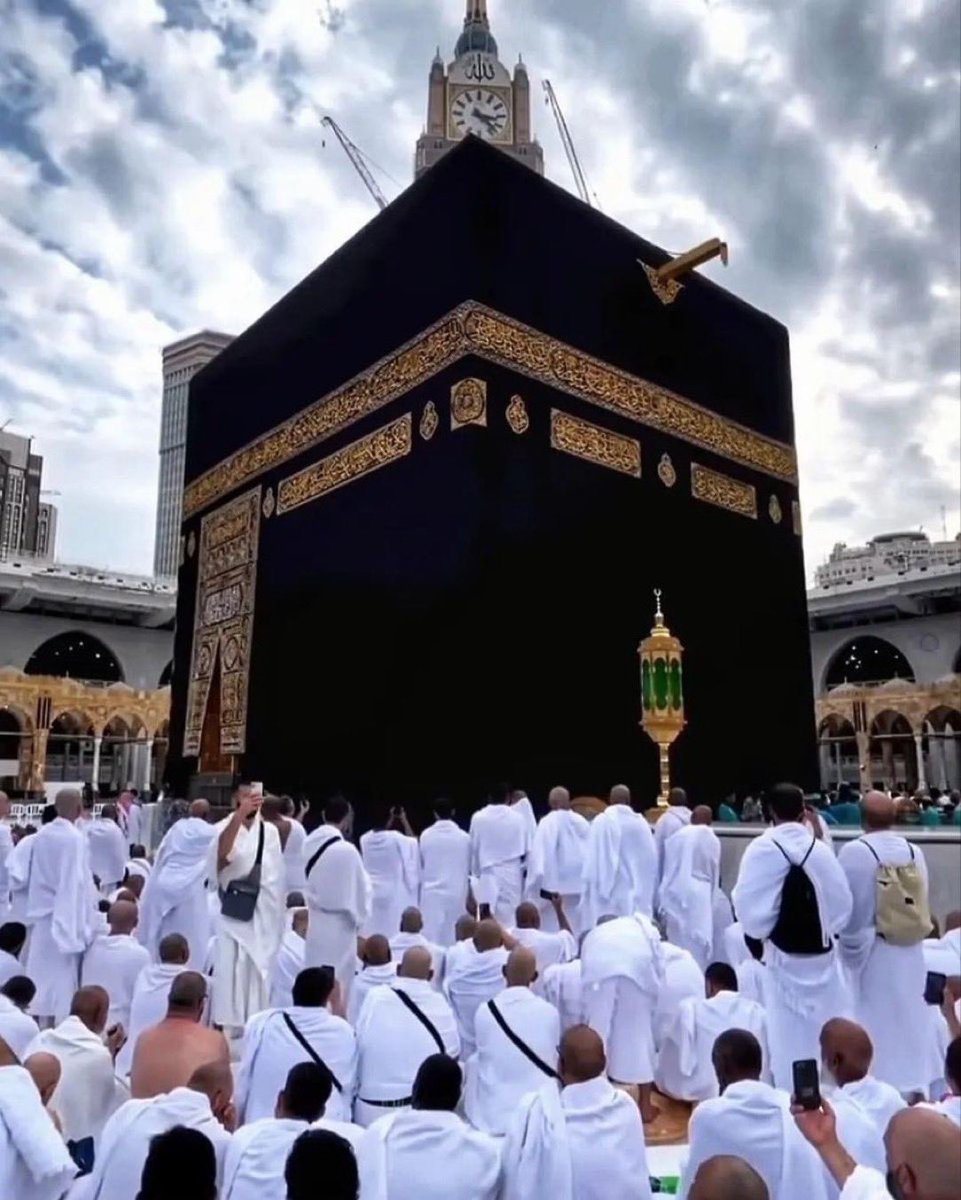 د ياسر الدوسري tweet media