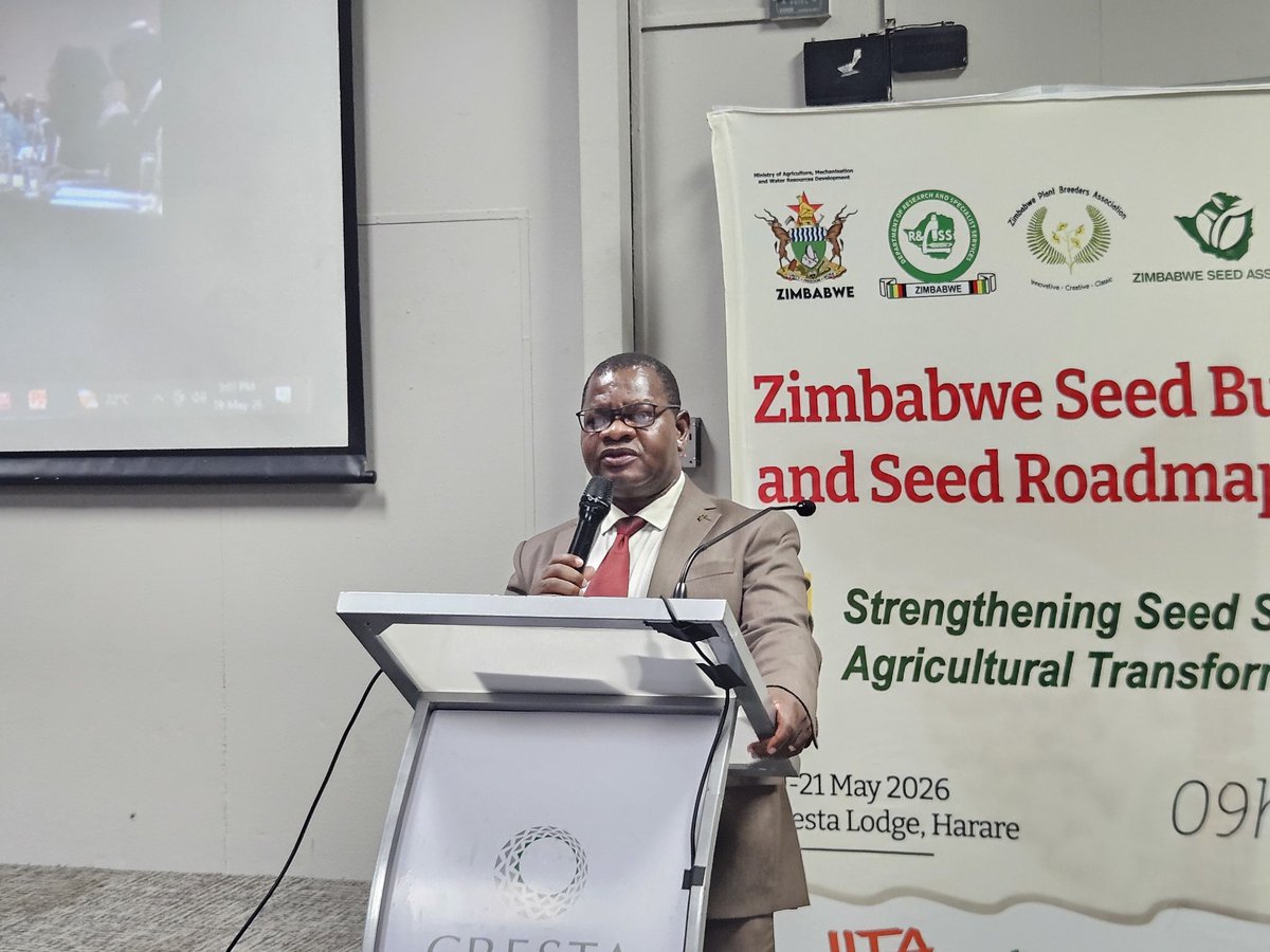 MoLAFWRD_Zim's tweet photo. Strong seed systems are powering Zimbabwe’s march toward a US$15.8bn agricultural economy by 2030, with climate-smart, drought-tolerant and pest-resistant seed varieties critical for food security and sustainable growth, Permanent Secretary Professor Dr. Obert Jiri told delegates at the Zimbabwe Seed Business Summit in Harare. He noted agriculture has grown from US$5.2bn to US$10.3bn under NDS1, while wheat output surged from 175 000 tonnes in 2020 to over 645 000 tonnes in 2025, driven by innovation and improved seed systems.
@obertjiri
 #ZimbabweSeedSummit #ClimateSmartAgriculture #FoodSecurity #Vision2030
