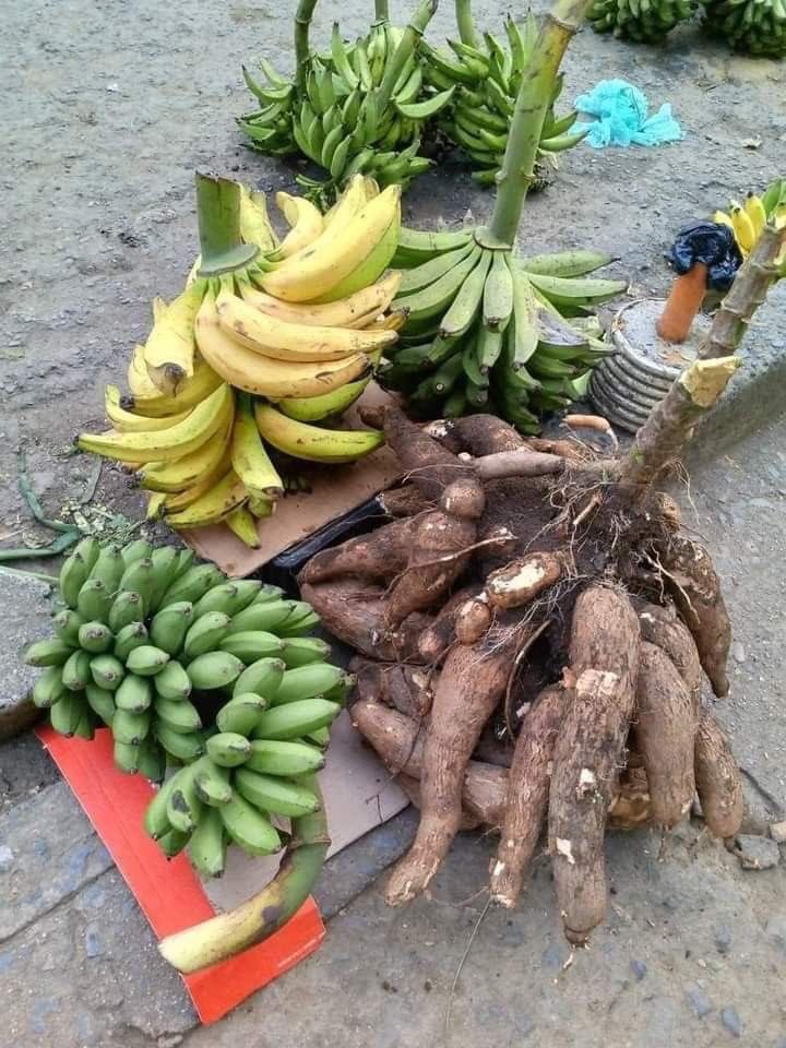 AGRONOMME 🇷🇼 tweet media