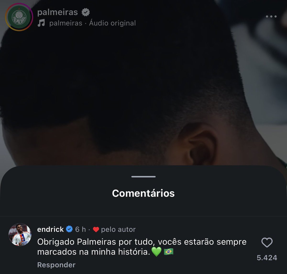 Palmeiras da Depressão tweet media