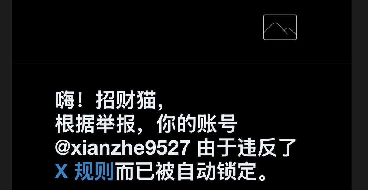 招财猫 tweet media