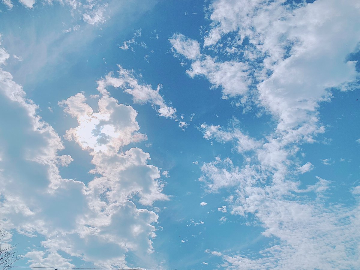 จจ ◡̈ ☁︎ *. 🌻🐈⬛ tweet media