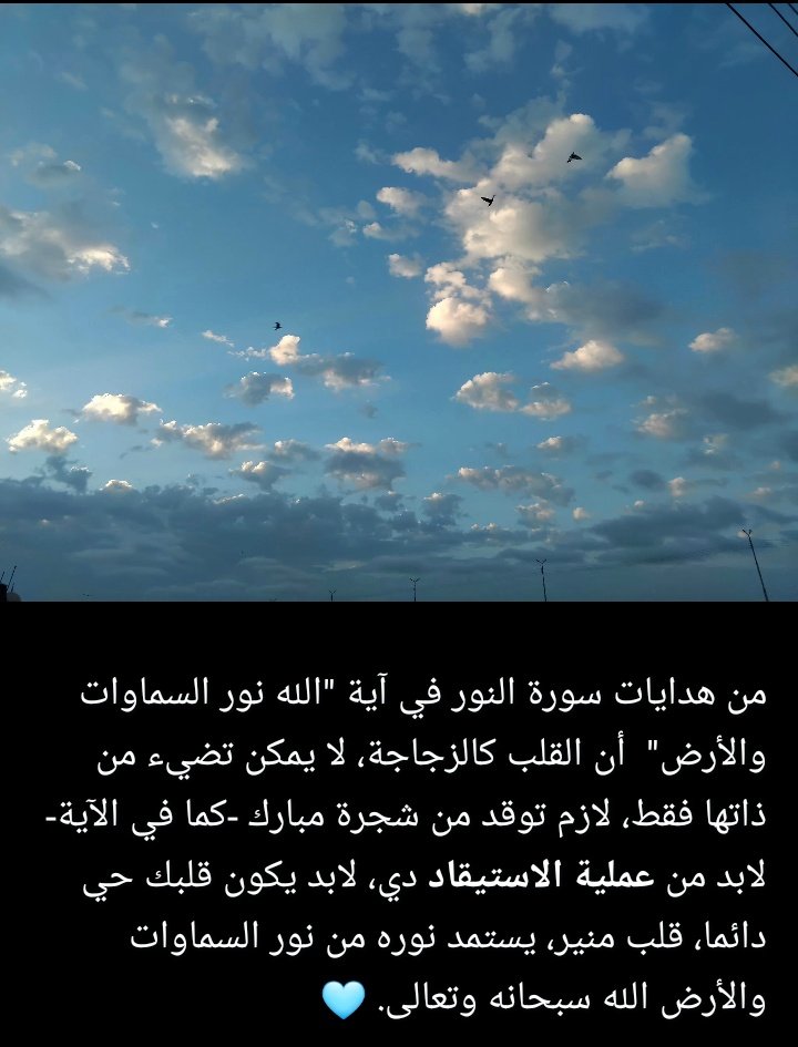 زَاي tweet media