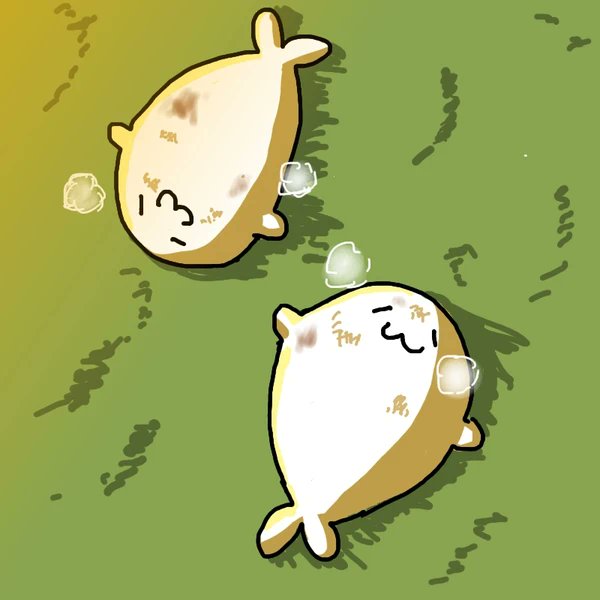 あざこざさんタロー🌞 tweet media