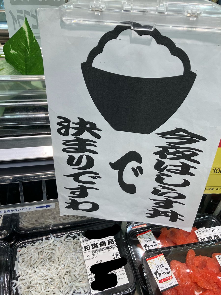 エレベーターズ tweet media