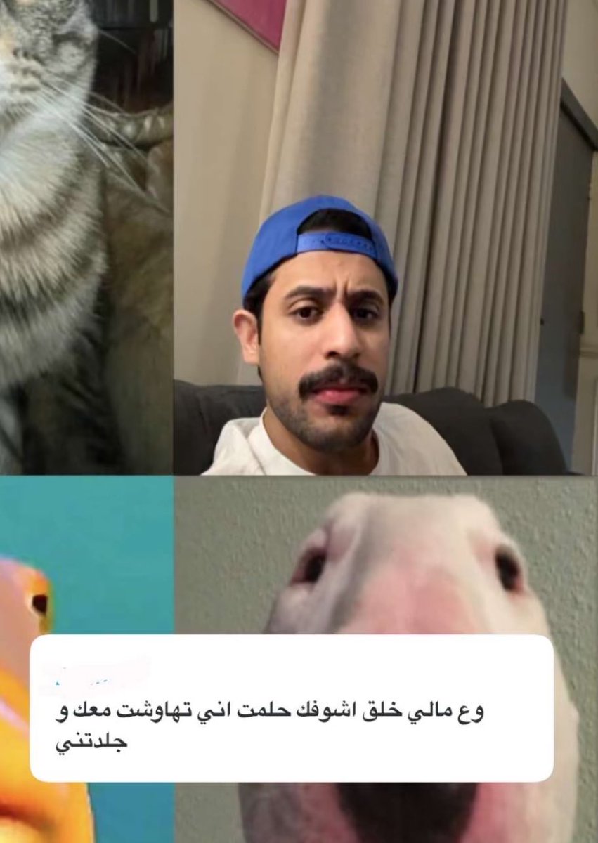Div tweet media