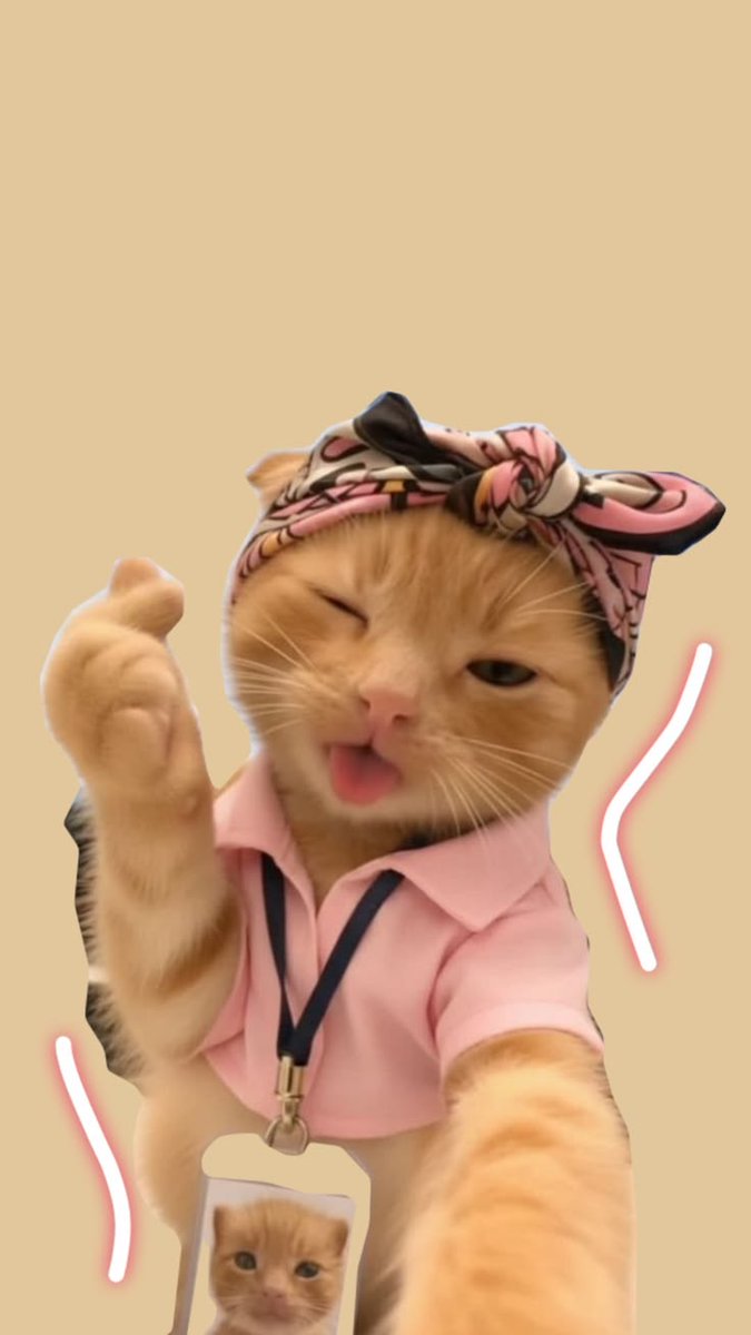 𝐂𝚊𝚜𝚔𝚎𝚢^᪲᪲᪲ tweet media