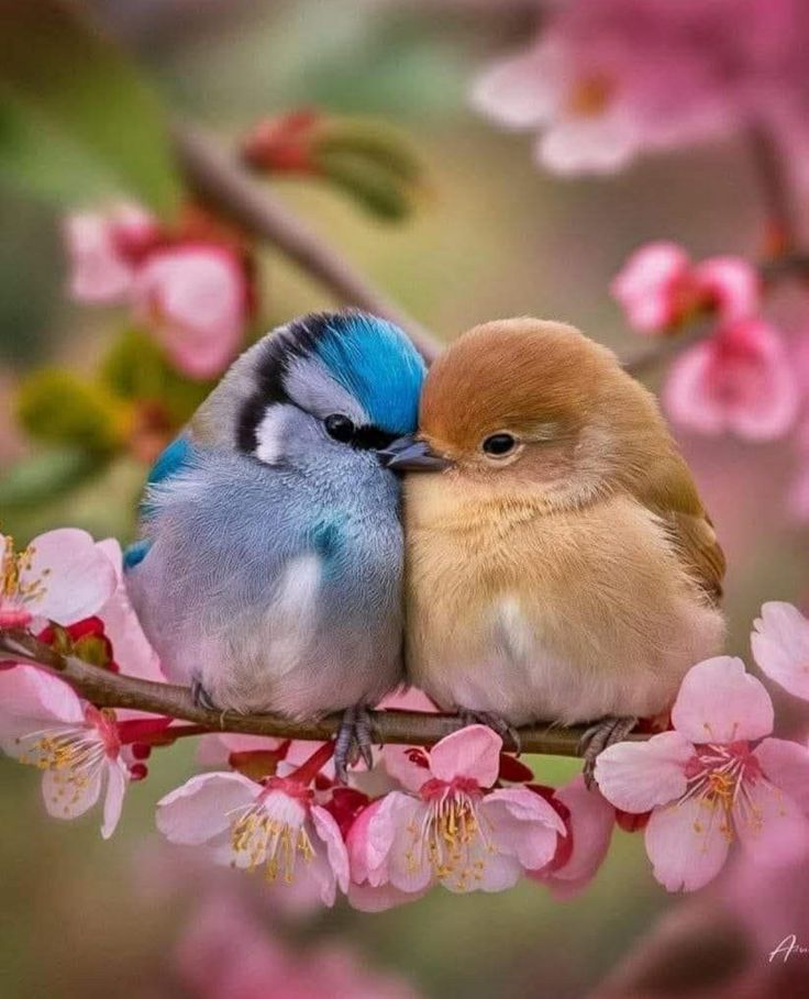 Rajender Singh Rupal tweet media