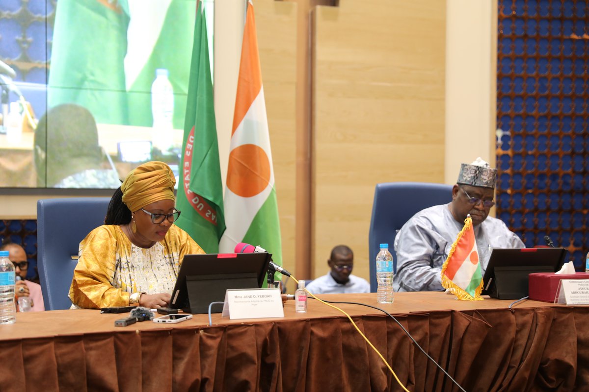 PNUD Niger tweet media