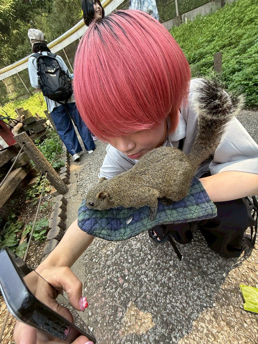D3aMc's tweet photo. 🐿と🎂 https://t.co/ellK5wIcKb