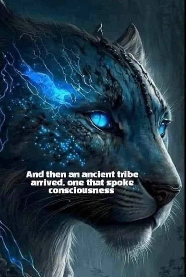Galactic Shaman 🔮👁️ 3rd Eye Priestess tweet media