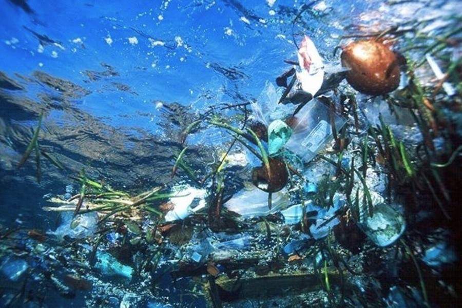 WetTribe's tweet photo. Mangrove propagules found floating alongside plastic debris during our ocean &amp; coastal #cleanups tie our cleanups, #mangroverestorations, and #coral protection efforts together, as mangroves help mitigate ocean acidification in adjacent waters. #WetTribe #TidetotheOcean https://t.co/p2U2p5LqY5