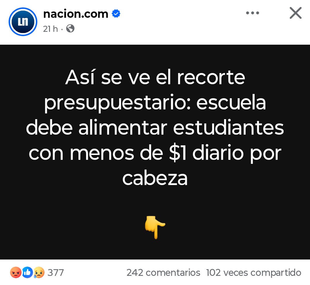 Tara Capibara tweet media