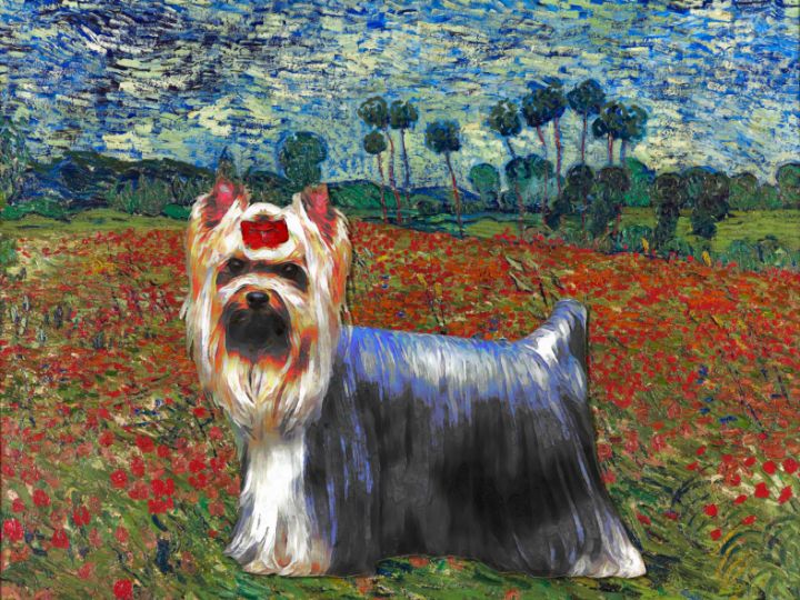 nobilitydogs's tweet photo. Art of the Day! "Yorkshire Terrier Poppy Field". Buy at: https://t.co/vZ49rmdyxX https://t.co/NSD90NuOC2