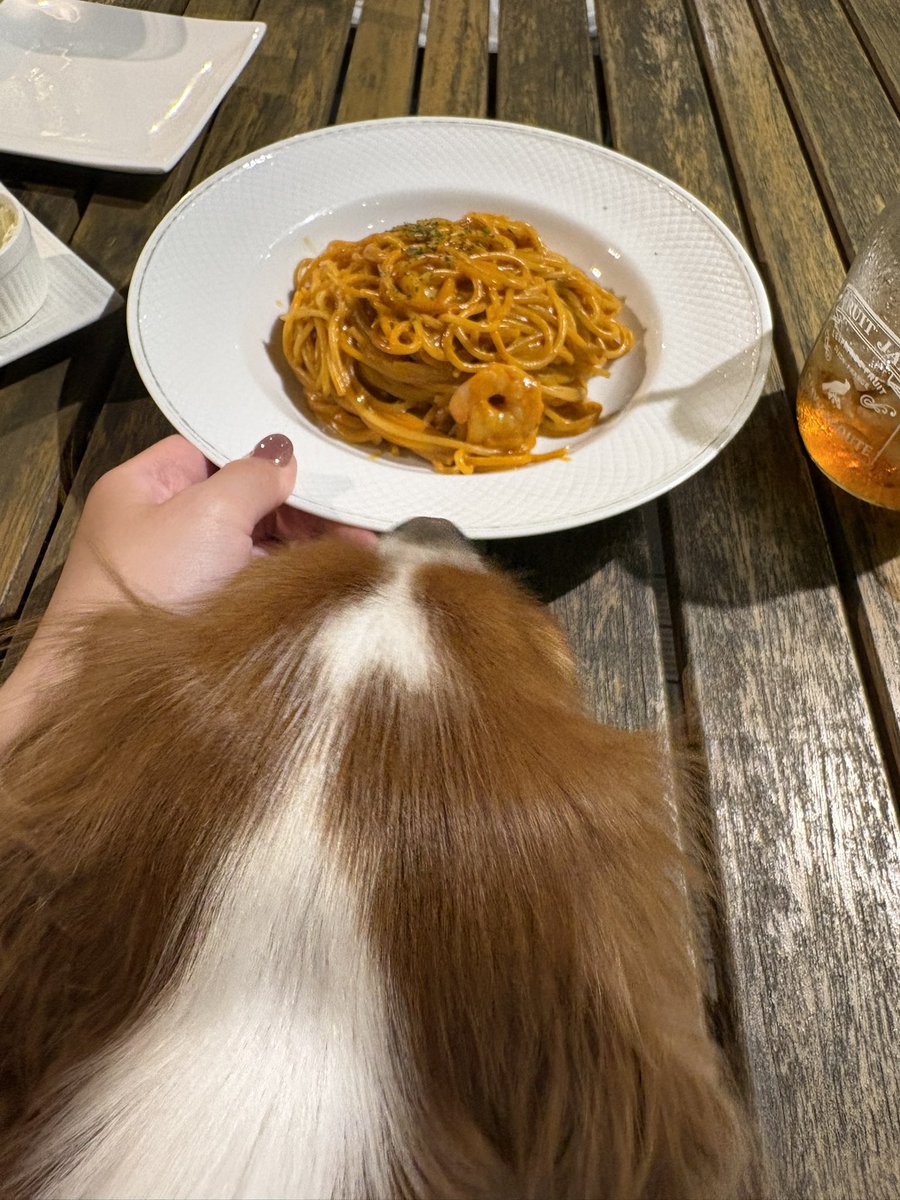 ジャスミン