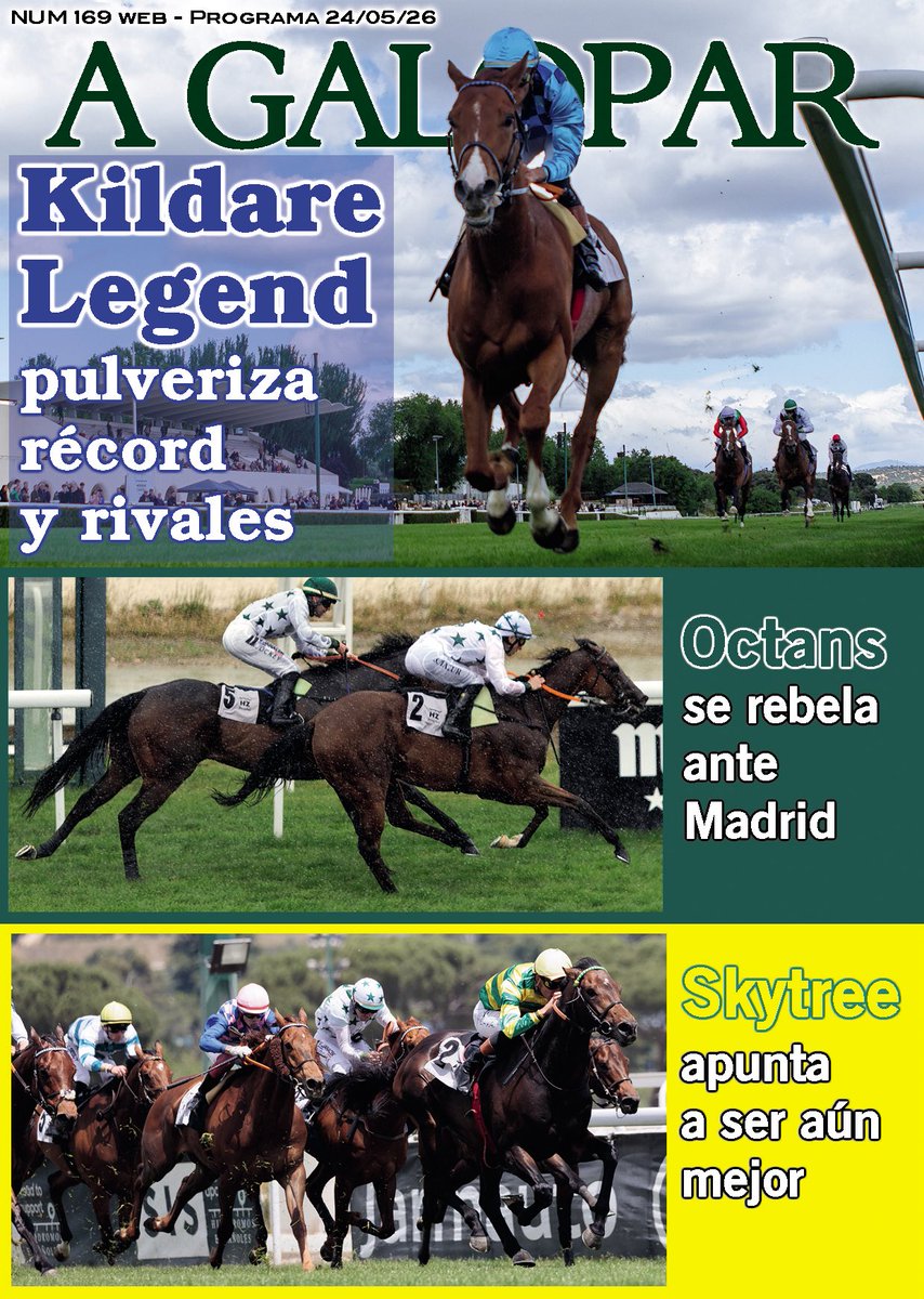 AgaloparTurf's tweet photo. 📍Skytree, otra clase en el Nertal
📍Octans se aprovecha de Madrid
📍Kildare Legend, récord  nacional de los 2.200 
📍Maximum Scepticism, control de calidad del Cimera 
📍Majestad más cerca del Derby 
👉🏽¡Dale!: https://t.co/Z1BrG1Ynib https://t.co/4u3HpwNRiX