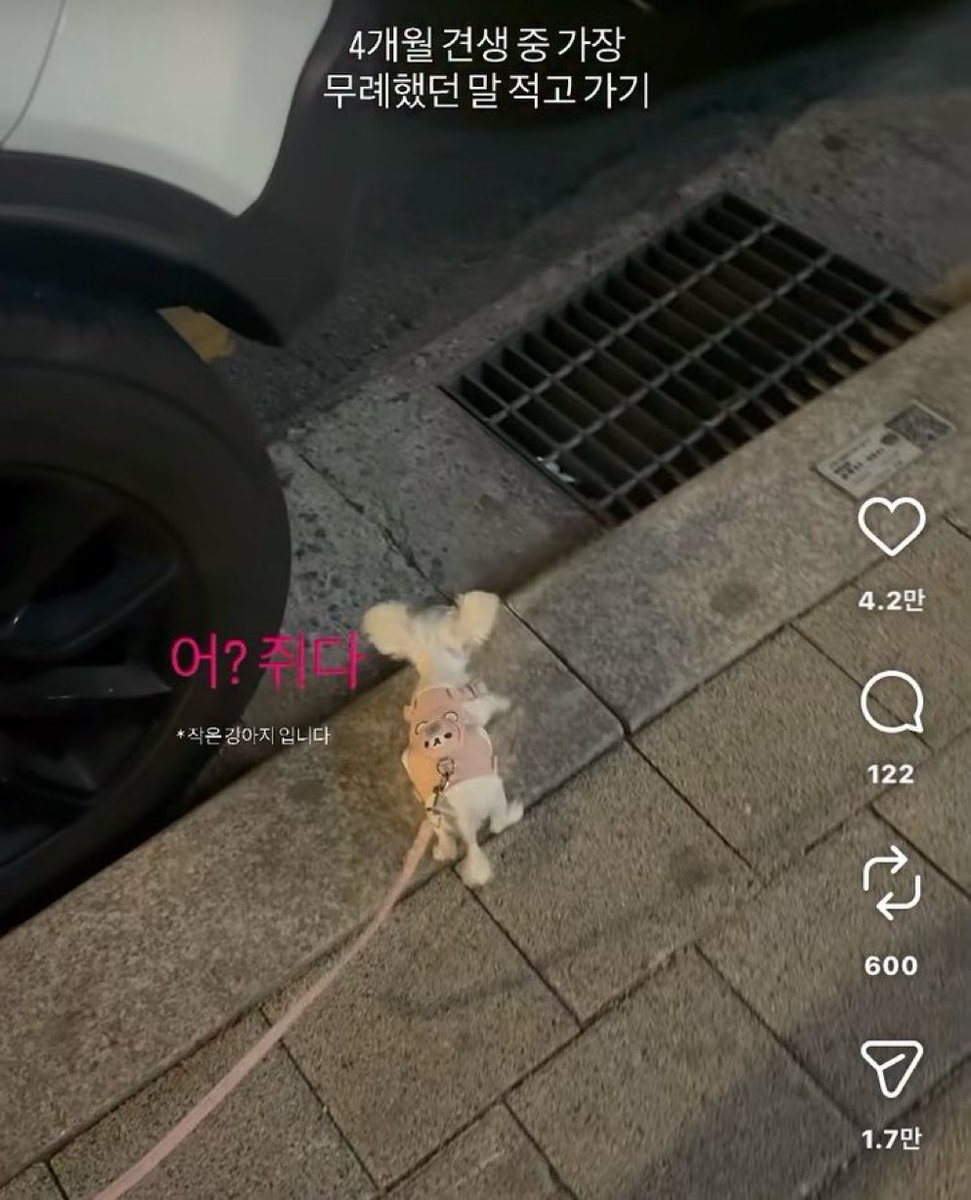 다른말 tweet media
