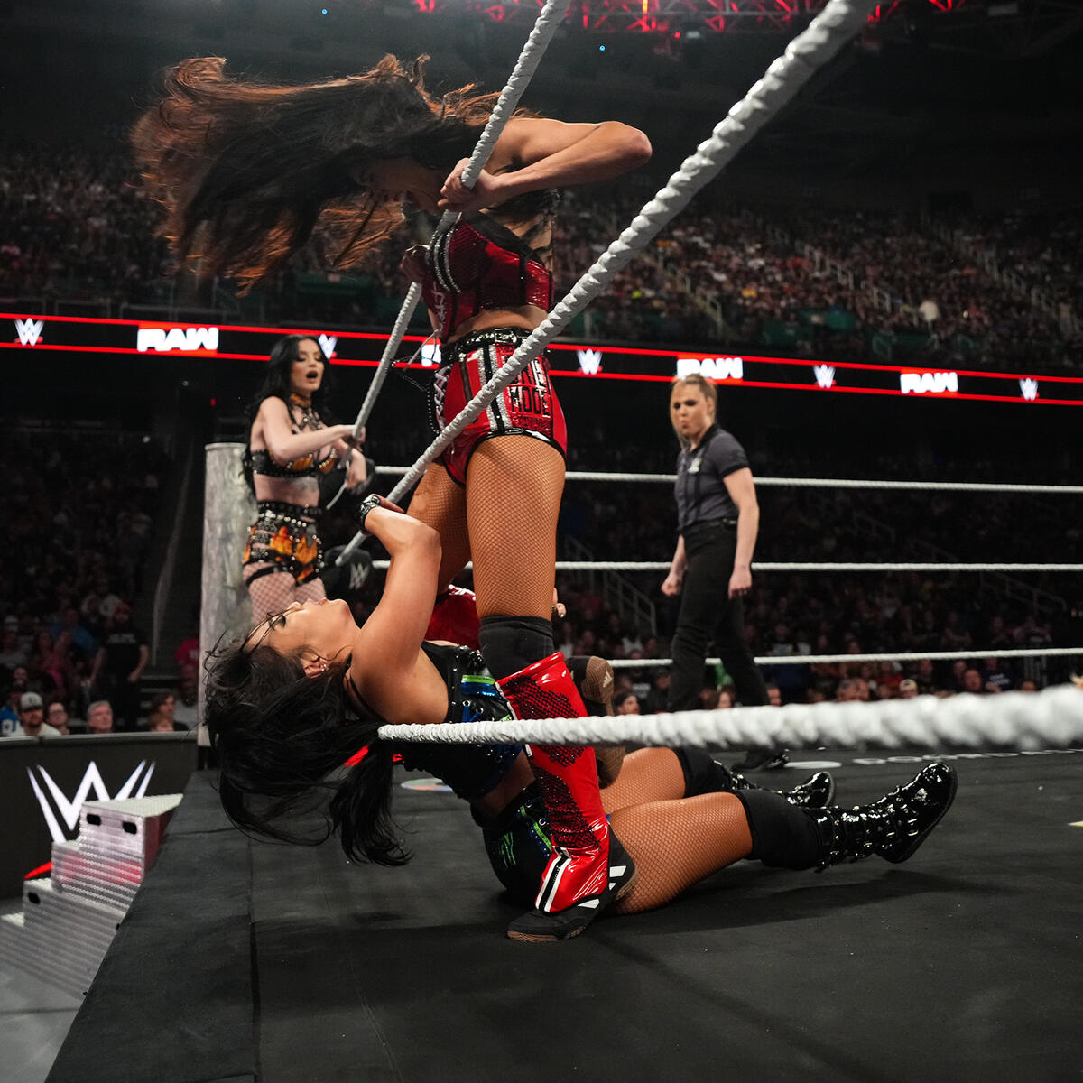 Bella-Twins.ORG | Brie & Nikki Bella FANSITE tweet media