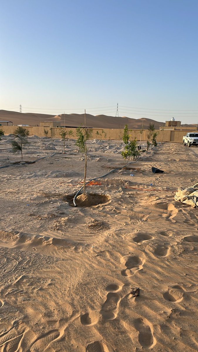 najranenv's tweet photo. بين رمال الطريق الممتد بين شرورة ونجران، وُلدت واحة “مركز هويمل” لتكون قصة نجاح بيئية اخرى  إمتداد لواحات نجران الثلاث السابقة بطريق نجران -وادي الدواسر تُروى بكل فخر 
ساهمت جمعية نجران الخضراء في تنفيذ وتأهيل الواحة عبر أعمال التشجير  والتمديدات والمتابعة وتحسين الموقع، بالتعاون مع مركز امارة هويمل ضمن جهودها المستمرة لتعزيز الغطاء النباتي وتحويل المواقع الصحراوية إلى مساحات نابضة بالحياة والاستدامة. وبعد مرور شهر من الغرس والتمديدات والمتابعة. تبرز اليوم شاهدآ على التميز.
 واحة اليوم… هي أثرٌ أخضر لمبادرات تصنع الفرق، وشاهدٌ على أن العمل البيئي المستدام يبدأ بخطوة ويثمر وطنًا أجمل