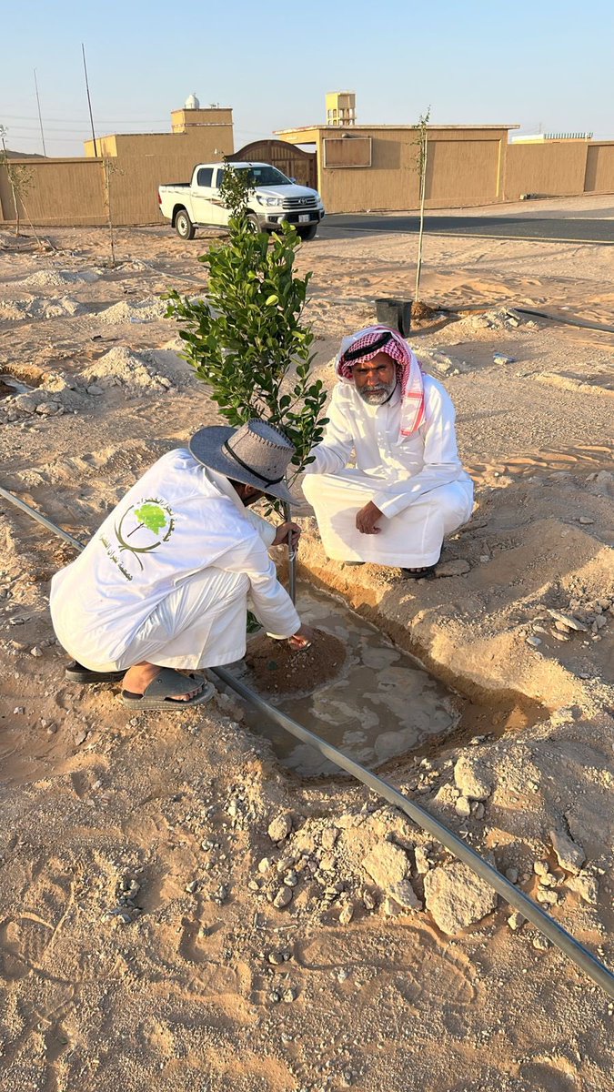 najranenv's tweet photo. بين رمال الطريق الممتد بين شرورة ونجران، وُلدت واحة “مركز هويمل” لتكون قصة نجاح بيئية اخرى  إمتداد لواحات نجران الثلاث السابقة بطريق نجران -وادي الدواسر تُروى بكل فخر 
ساهمت جمعية نجران الخضراء في تنفيذ وتأهيل الواحة عبر أعمال التشجير  والتمديدات والمتابعة وتحسين الموقع، بالتعاون مع مركز امارة هويمل ضمن جهودها المستمرة لتعزيز الغطاء النباتي وتحويل المواقع الصحراوية إلى مساحات نابضة بالحياة والاستدامة. وبعد مرور شهر من الغرس والتمديدات والمتابعة. تبرز اليوم شاهدآ على التميز.
 واحة اليوم… هي أثرٌ أخضر لمبادرات تصنع الفرق، وشاهدٌ على أن العمل البيئي المستدام يبدأ بخطوة ويثمر وطنًا أجمل