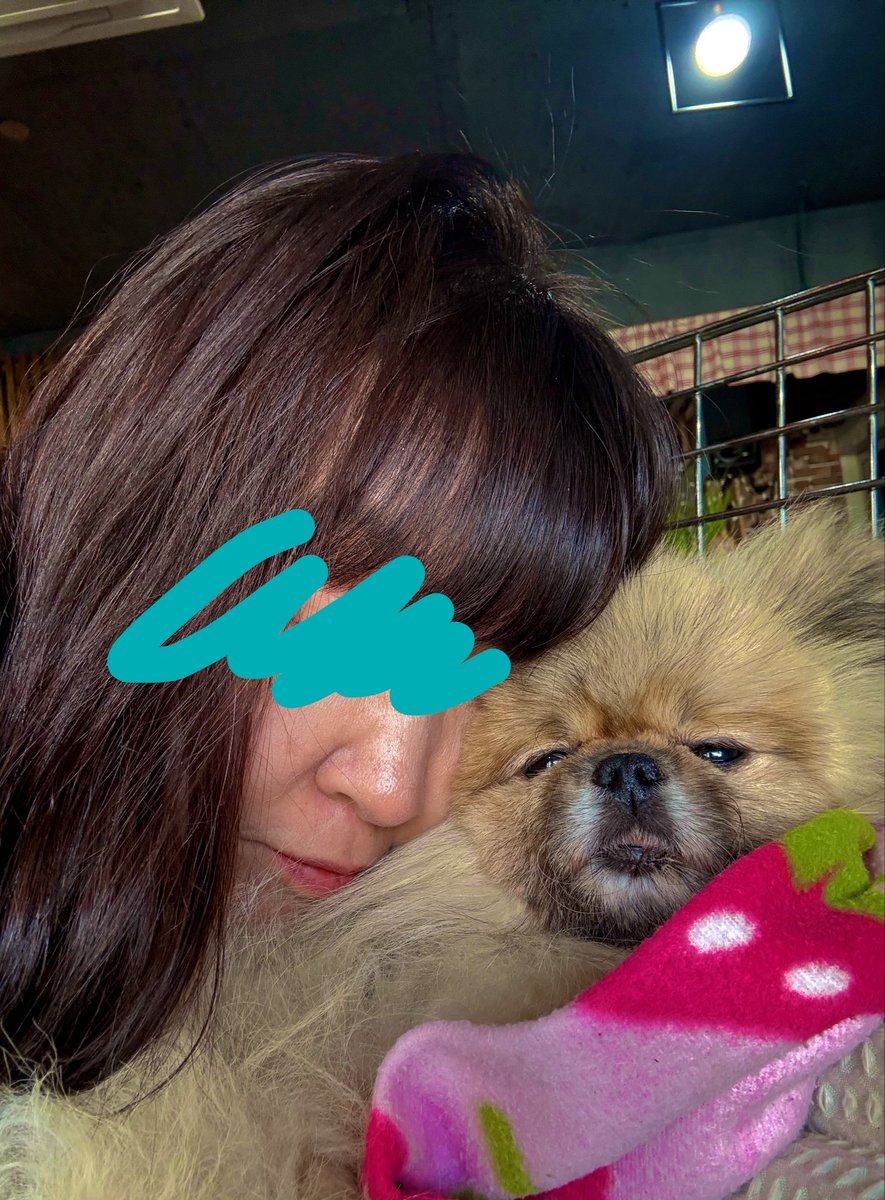 ottzzom's tweet photo. 흑 대운이도 별나라에 갔구나. 우리 이브도 지난 2월에… 아직도 힘들다. 이브 떠난 얘기 꺼내는 거.  어떤 슬픔은 차마 입밖으로 꺼내지 못하고 자꾸만 미루기 되더라. 아플 때 가게 오픈도 해야했고 아버지 간병도 해야 했고. 이브한테 최선 다하지 못햇던 거 두고두고 미안하다. 너무 보고싶고.. https://t.co/mX1khMZgP3