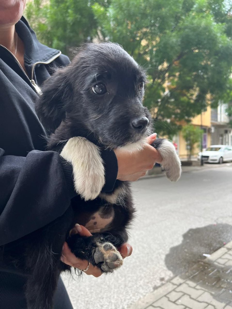 mitiser2601's tweet photo. AJDE LJUDI!! 
UDOMLJAVANJE! 🥰 https://t.co/rS0iewwe7K