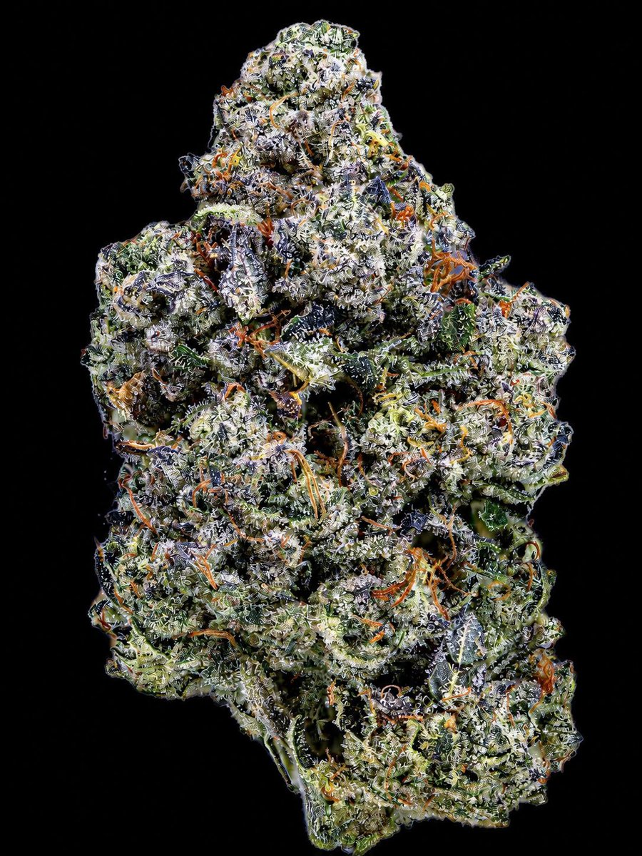 The Vault Network Cannabis 📦 tweet media