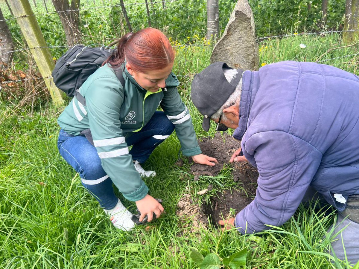 Rolitacable's tweet photo. Durante una semana participaron en diferentes actividades lúdico-pedagógicas donde aprendieron sobre 📋 la operación de TransMiCable, realizaron recorridos por el Sistema, fortalecieron conocimientos en seguridad vial y cuidado del entorno. https://t.co/fO85Y0GnoF