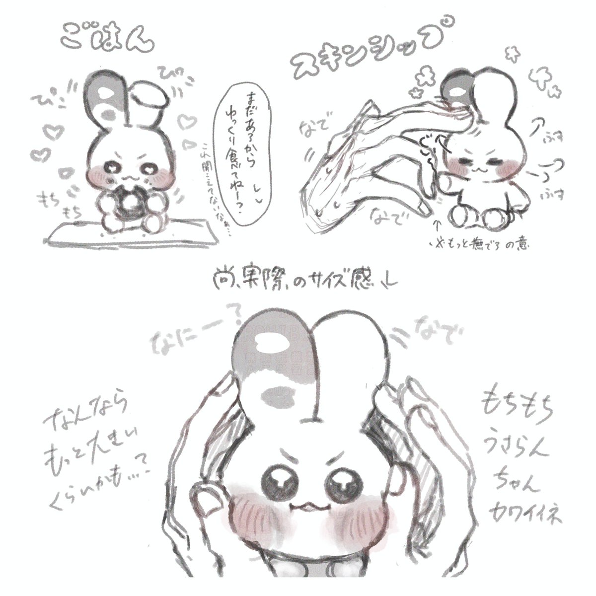 しゃちあざらし tweet media