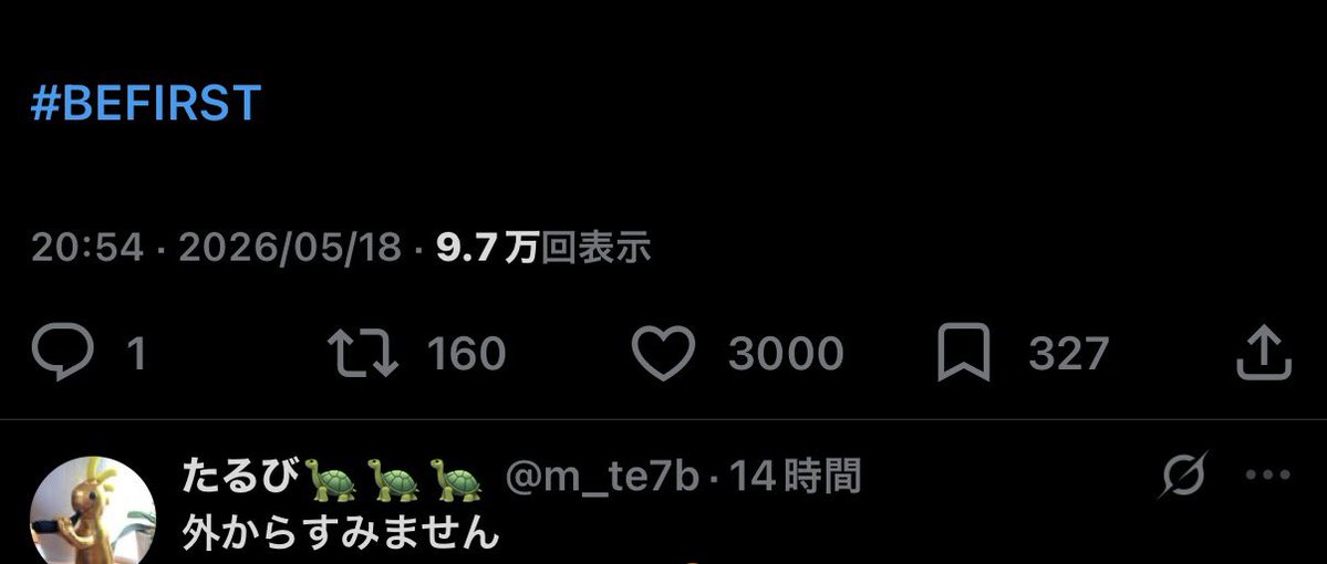 ぐっちー🐬🐢 tweet media