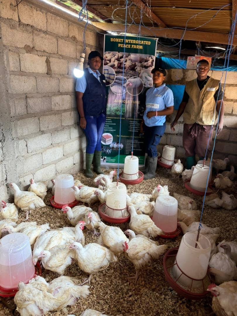 BONET_CM's tweet photo. Within the framework of #BONET ongoing #SIA_LiveProject our facilitators introduced  participants to the #SIA_LiveProject, highlighting the vital role agriculture continues to play in human existence and economic development. https://t.co/tRNNeoOHiO
