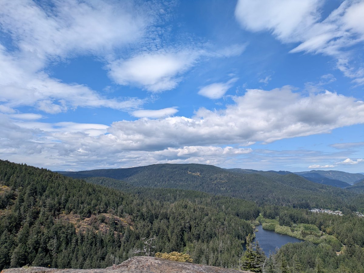 southdevonbirds's tweet photo. Plenty of avian action around Sooke Hills Regional Park, Mount Wells Regional Park, and Langford Lake, Vancouver Island. π· Violet-green Swallow, Belted Kingfisher & Killdeer #birdsofcanada #birding #vancouverislandbirding #birds #canadabirds #birdphotography https://t.co/lDPG4X5CoX
