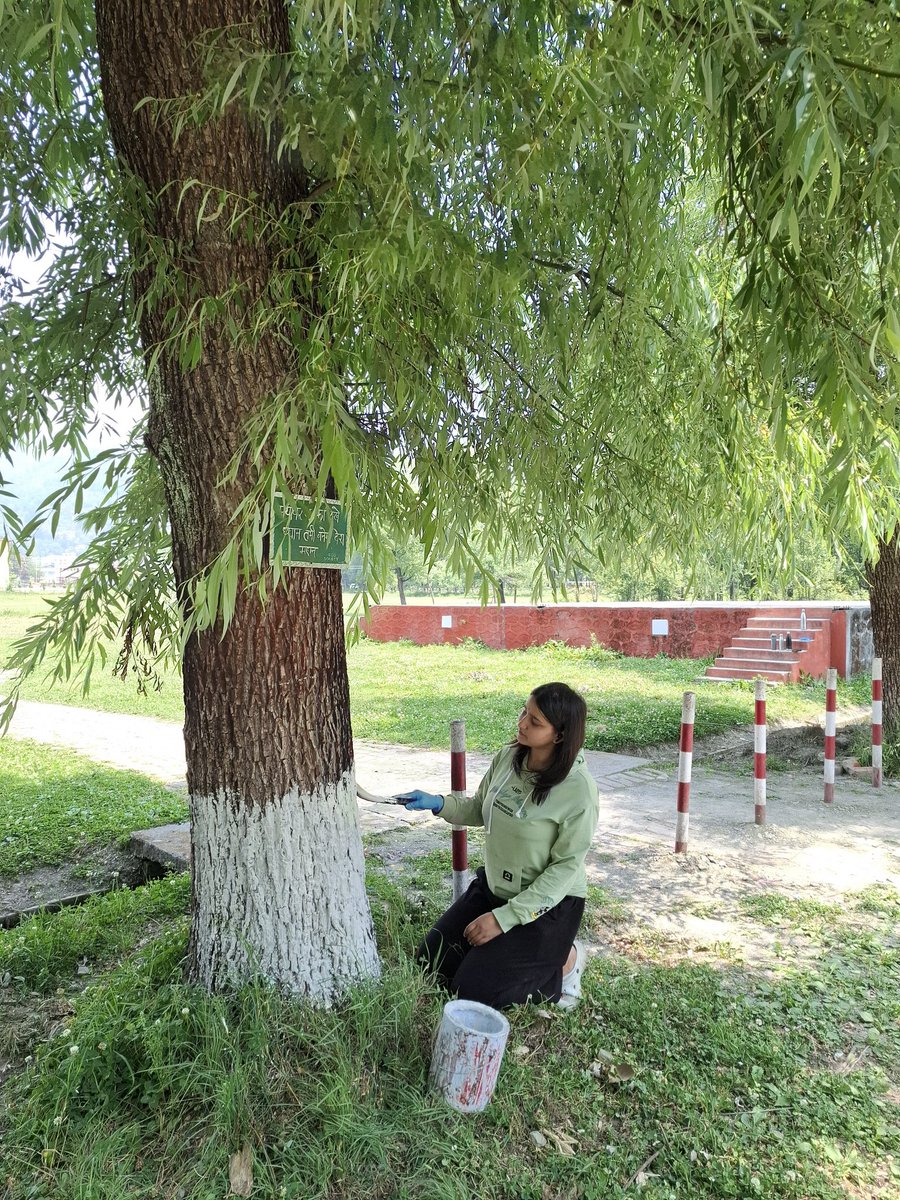 ActivityBias123's tweet photo. Coating trees, protecting nature🌳✨

A small step towards a greener, healthier, and more sustainable environment. Together we paint, care, protect and be aware of our planet's well being.

#treetrunkpainting #EcoSociety #GoGreen #Save #Trees #Sustainability https://t.co/mQT7pA1uel
