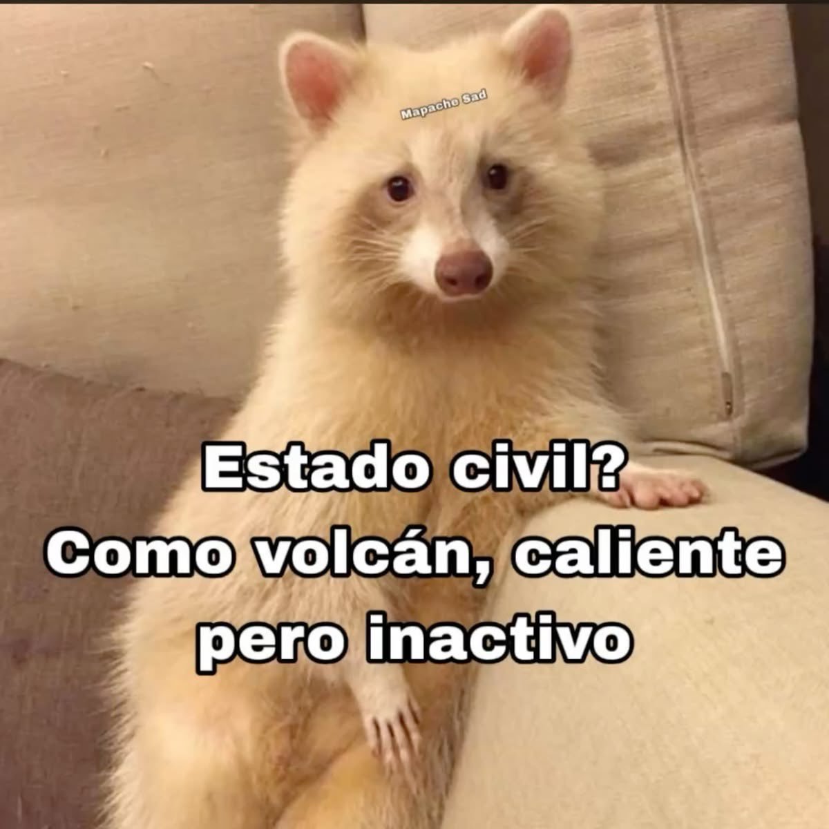 FraseSimple's tweet photo. https://t.co/9aSMiPRby3