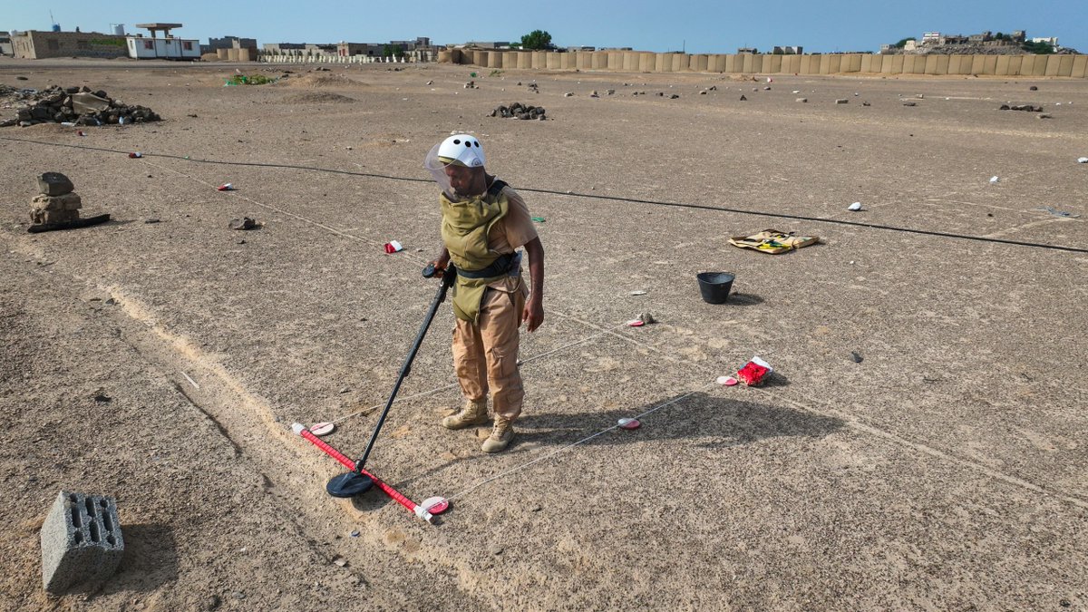 Masam Landmine Clearance Project - Yemen tweet media