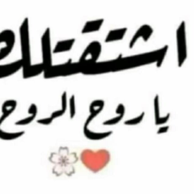 اليماني اليماني tweet media