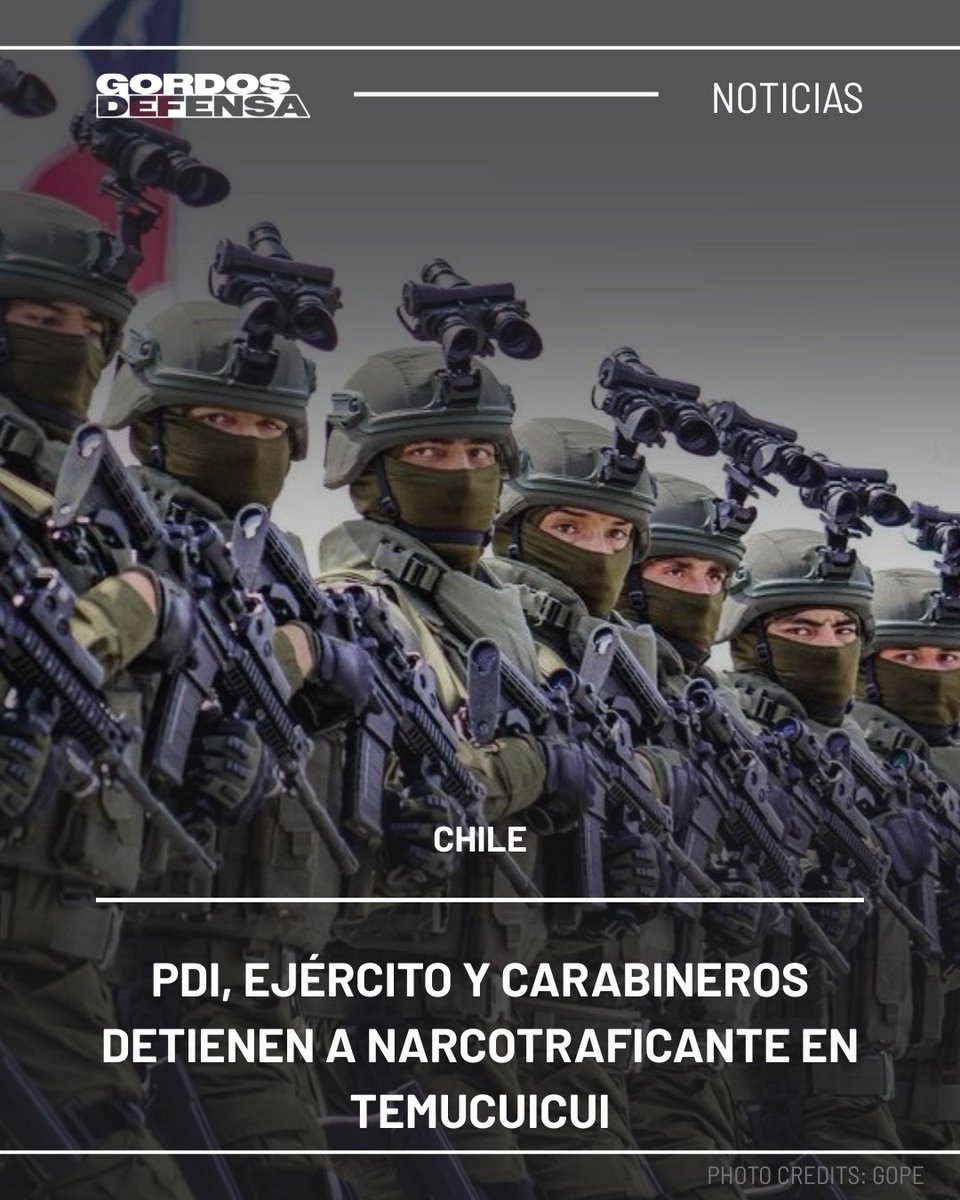 Gordos Defensa tweet media