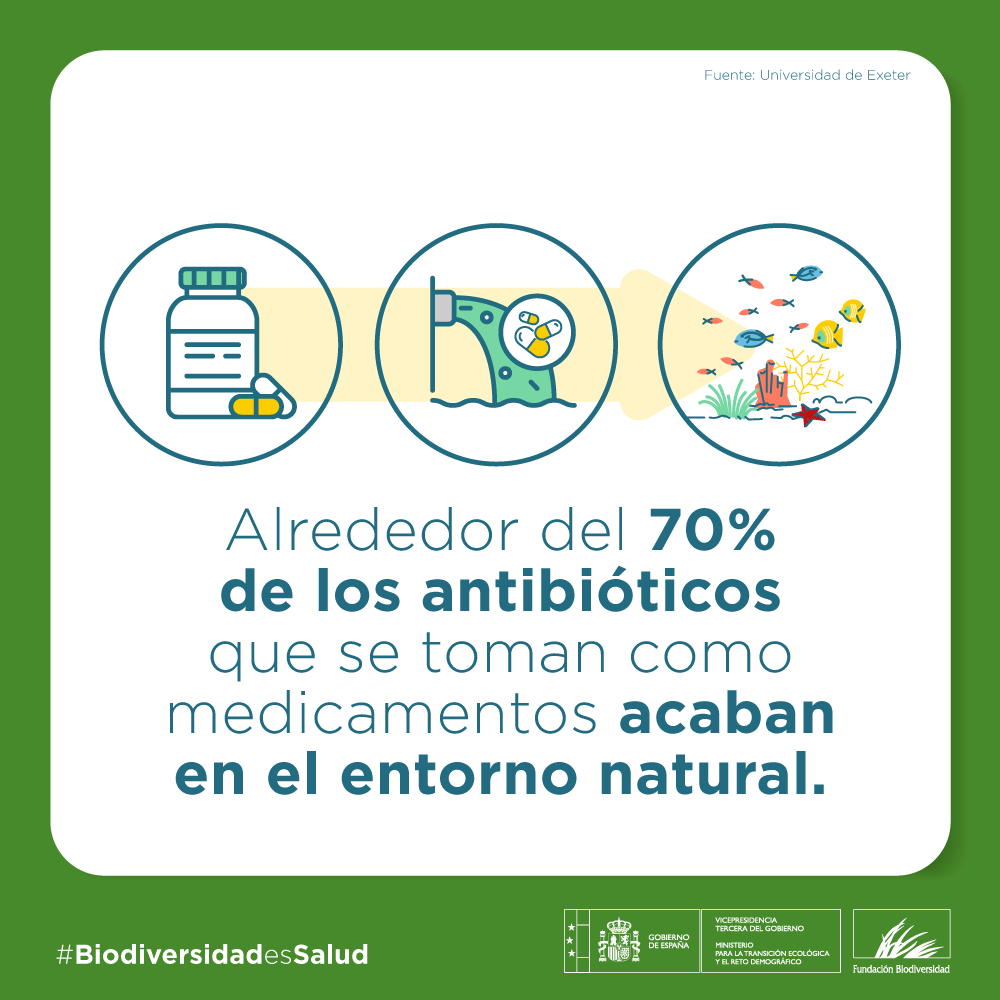 FBiodiversidad's tweet photo. 💊 La presencia de antibióticos en el medio ambiente puede favorecer la resistencia bacteriana.

ℹ️ Un estudio de @UniofExeter muestra que pueden actuar como contaminantes ambientales e identifica riesgos relevantes en países de mayores ingresos.

#BiodiversidadEsSalud https://t.co/6NWinwkwOH