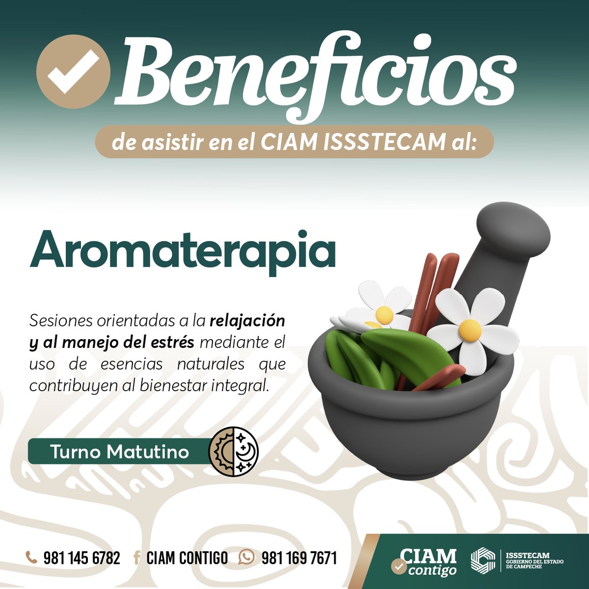 Issstecam's tweet photo. Si eres jubilado o pensionado del ISSSTECAM no te olvides de asistir al Centro Integral del Adulto Mayor, en donde encontrarás una oferta de talleres, servicios y actividades pensadas especialmente para ti.

Visítanos en Avenida Héroe de Nacozari en la Colonia Lomas Delicias. https://t.co/XC9wdle9Xd