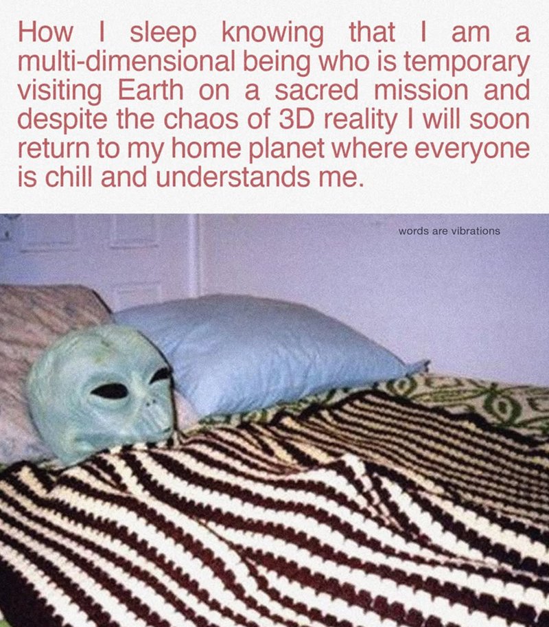 ALIEN tweet media