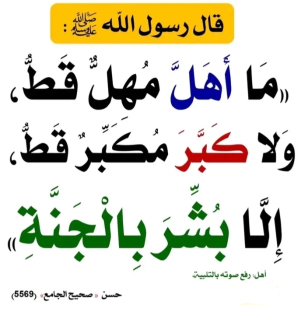العقيدة الصحيحة📚 tweet media