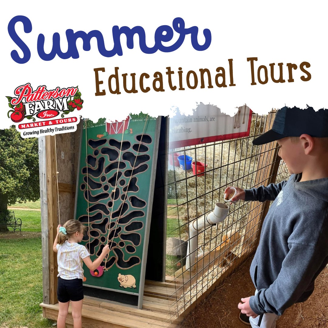 Patterson_Farm's tweet photo. We offer interactive educational tours that combine fun + learning! 

💎 Treasure Mine Adventure
🌐 Amazing Farm Quest Geocaching
🐮 Cow to Cream: A Dairy Adventure
🦋 Butterflies, Bees, &amp; Blooms
🧑‍🌾 Farmer for the Day

Book your tour today at https://t.co/wK8aLvbls6. https://t.co/9DHnJ6UGdJ