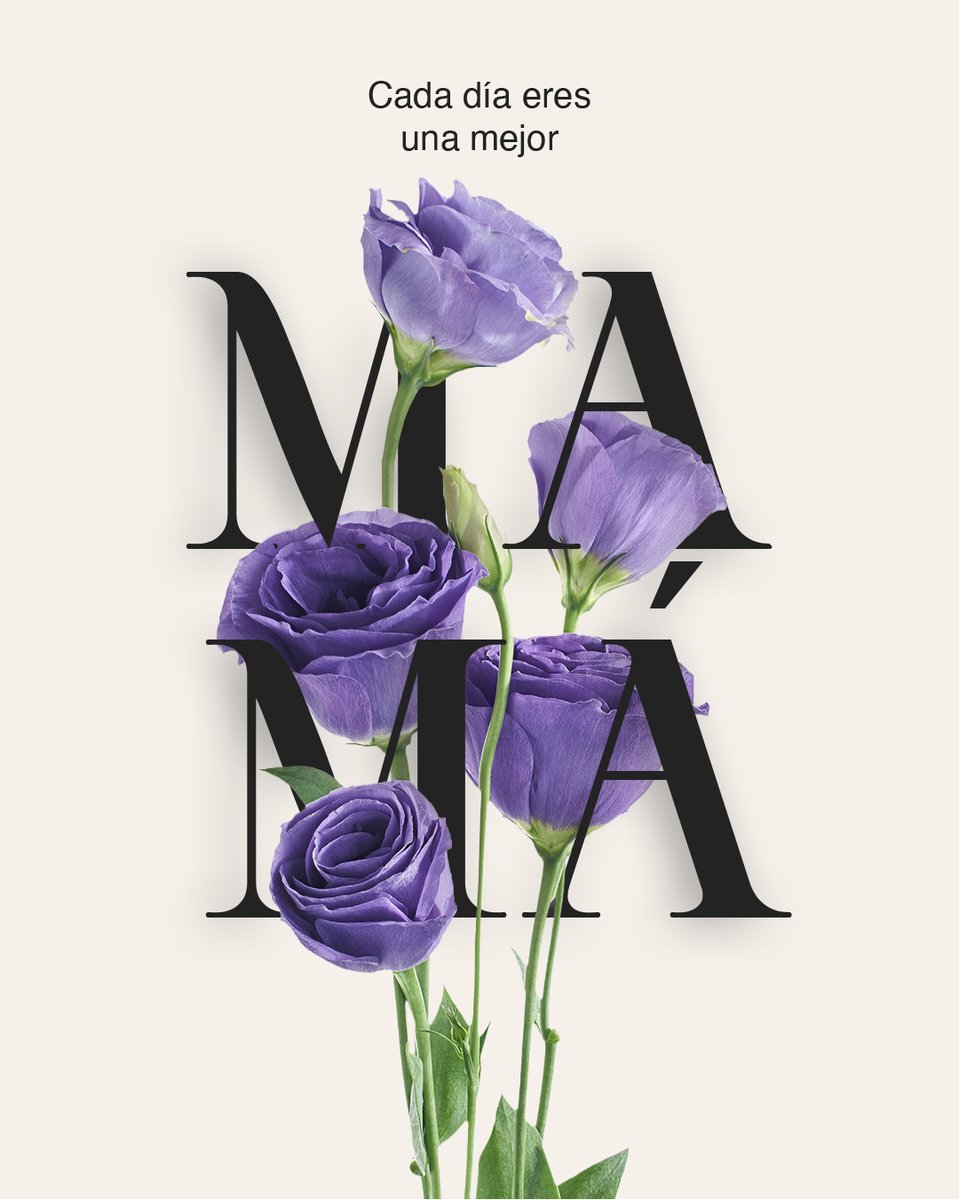 CoffeeNJesus's tweet photo. De una mamá para otra mamá. 🌺🌸

Cuando una mujer se convierte en mamá, necesita escuchar consejos de alguien que ya ha recorrido ese camino.

Sabiduría diaria para madres tiene consejos para cada etapa de la maternidad. ¿A quién le regalarías este libro? 📕🎁 https://t.co/dvlHUyn3lg