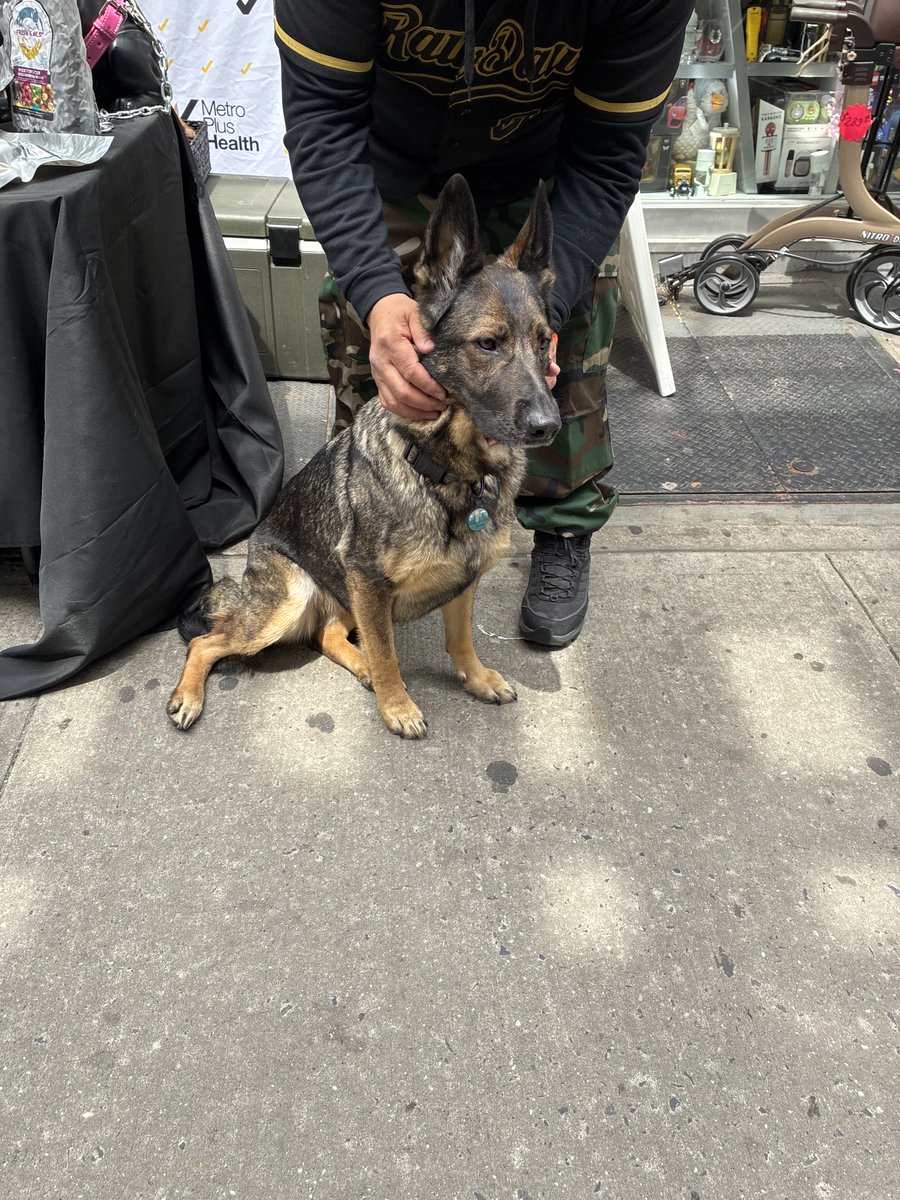 MetroPlusHealth's tweet photo. We had a wonderful time celebrating everyone's pets at our Church Avenue and Brighton Beach community offices! Council Member Rita Joseph was at our Church Avenue location where Flatbush Cats provided free dog and cat food and promoted free services offered through their vet clinic while Raw Dawg offered complimentary pet food at our Brighton Beach office. It was great meeting everyone's furry friends! 🐕🐈