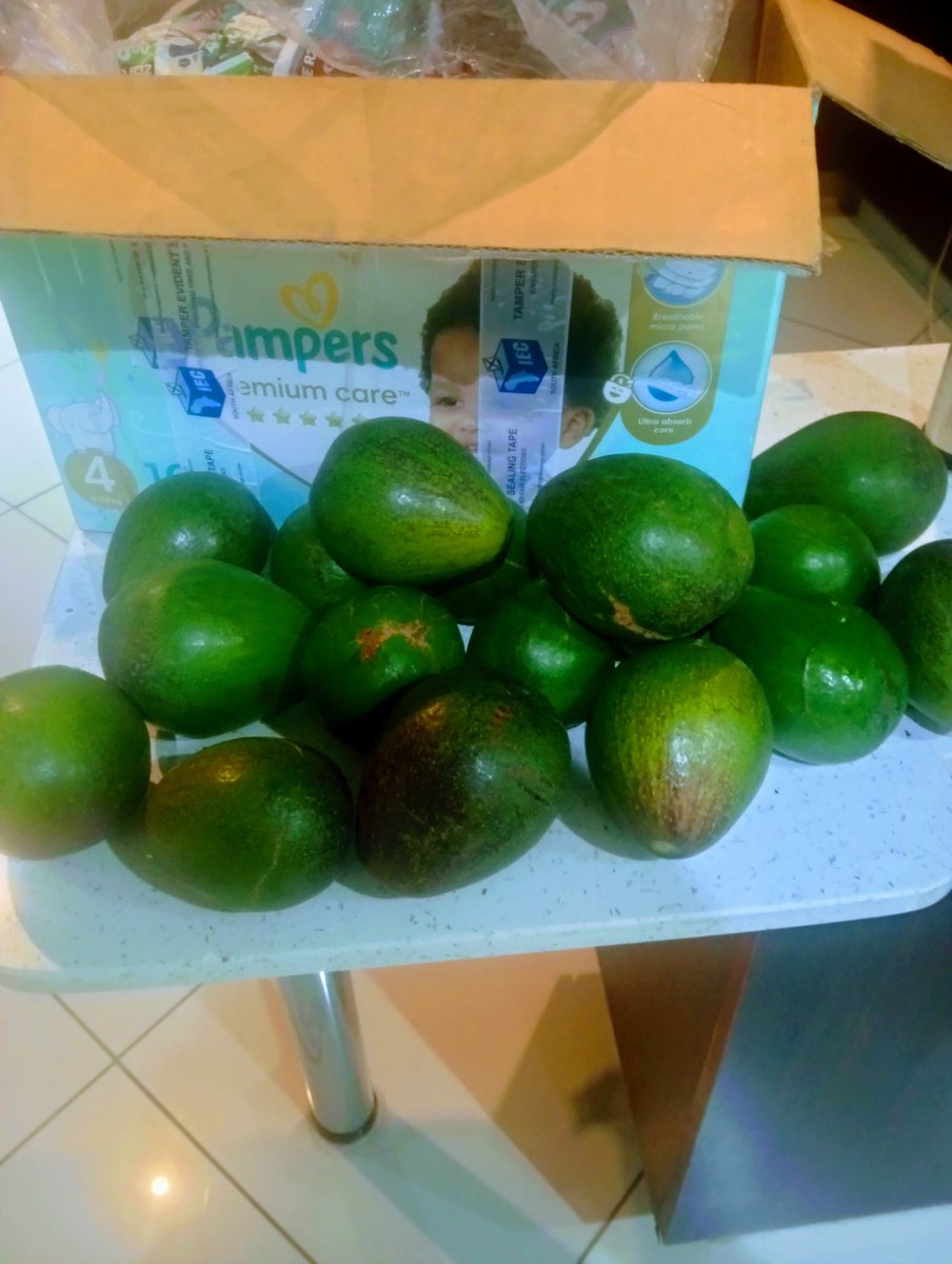 Randy_nzhula's tweet photo. So I ran out of avocados and I asked my sister to send me some via post. Just look at the box she used to package them😭😭

What is she trying to tell me? https://t.co/Ct7ZtEjAFN