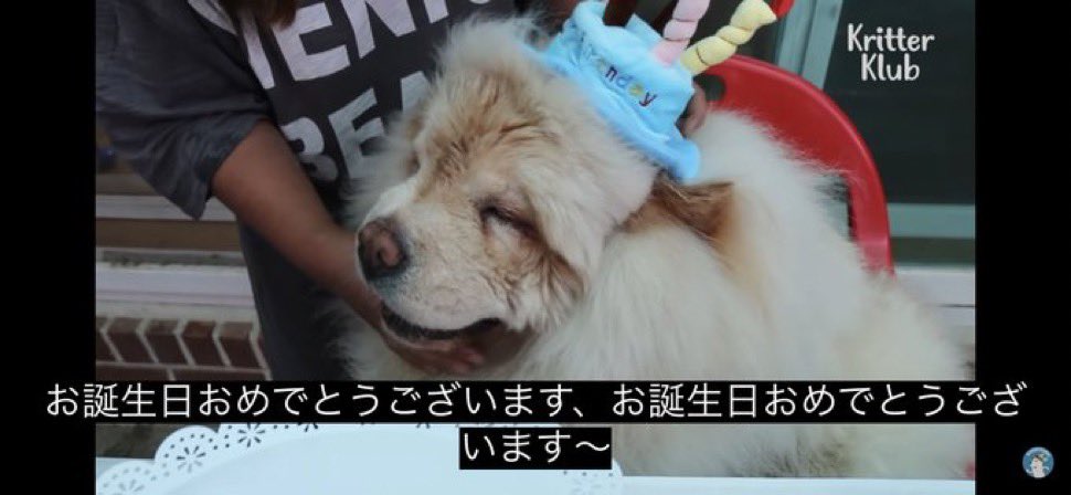 A・オリゼー tweet media