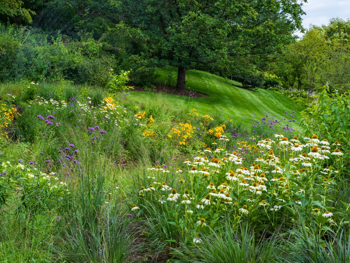 chicagobotanic's tweet photo. Sign-up for Rhythms of Nature Drum Circle on May 30, and explore the healing power of community drumming. We’ll gather beneath the open sky, surrounded by lush greenery, and make music together aligning with the cyclical rhythms of nature. Register today: https://t.co/LZlWNTIpV9 https://t.co/WWsgu0oTNu